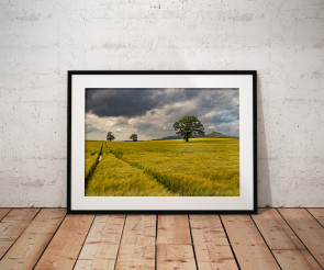 To buy a print or any of the below please click on the images